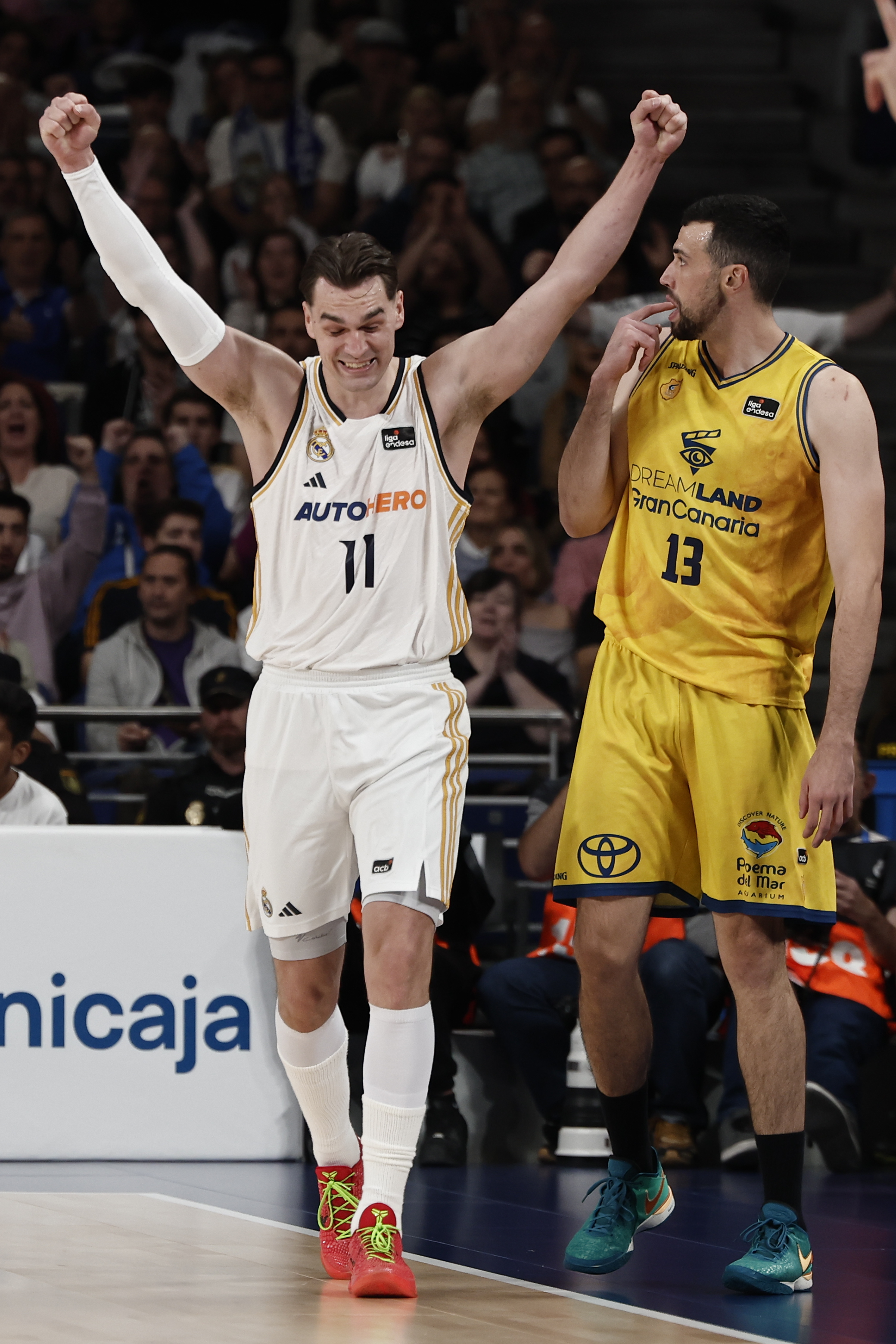 Mario Hezonja, durante la serie contra el Gran Canaria.