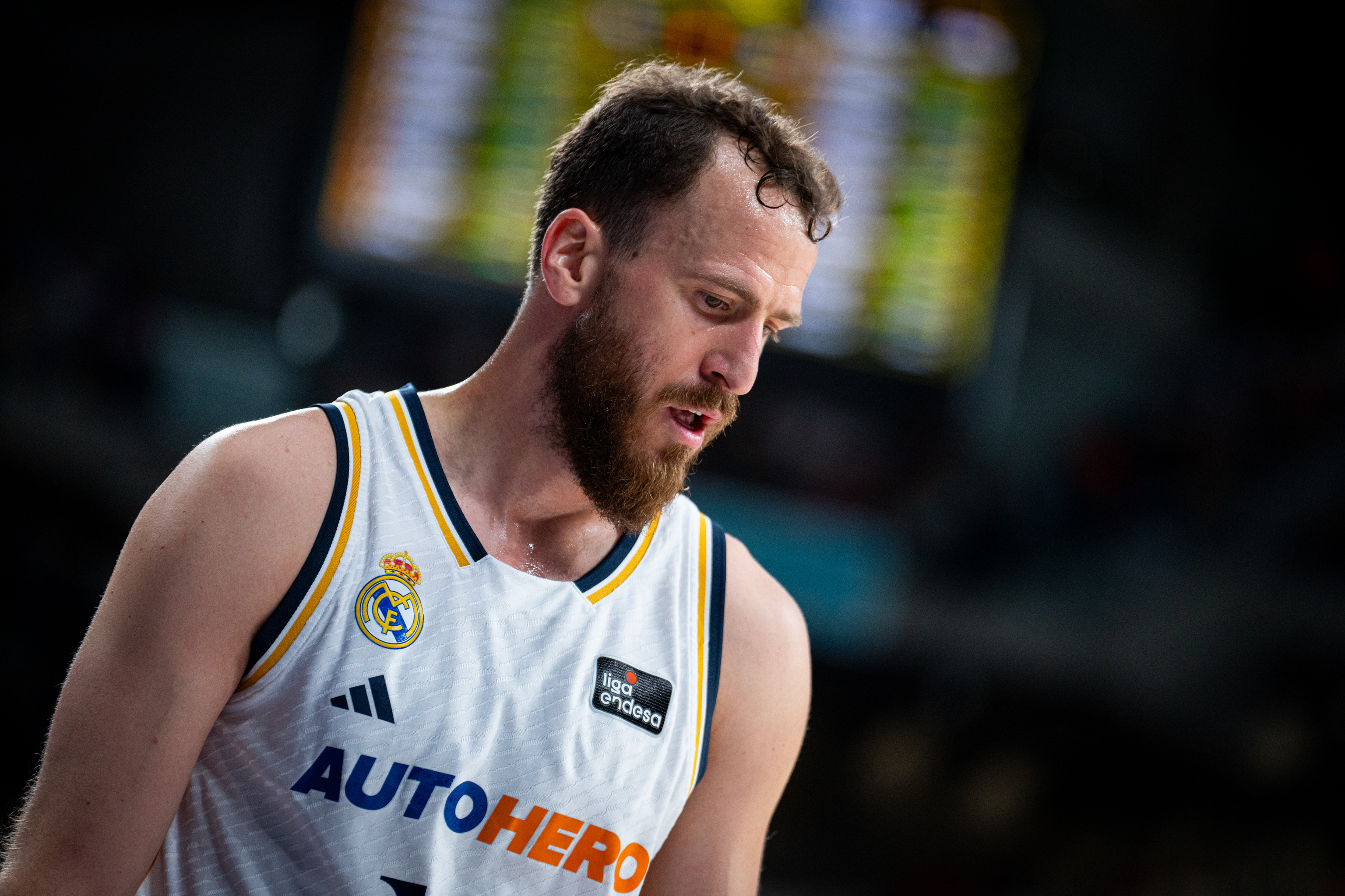 Sergio Rodríguez, en uno de sus últimos partidos con el Real Madrid.