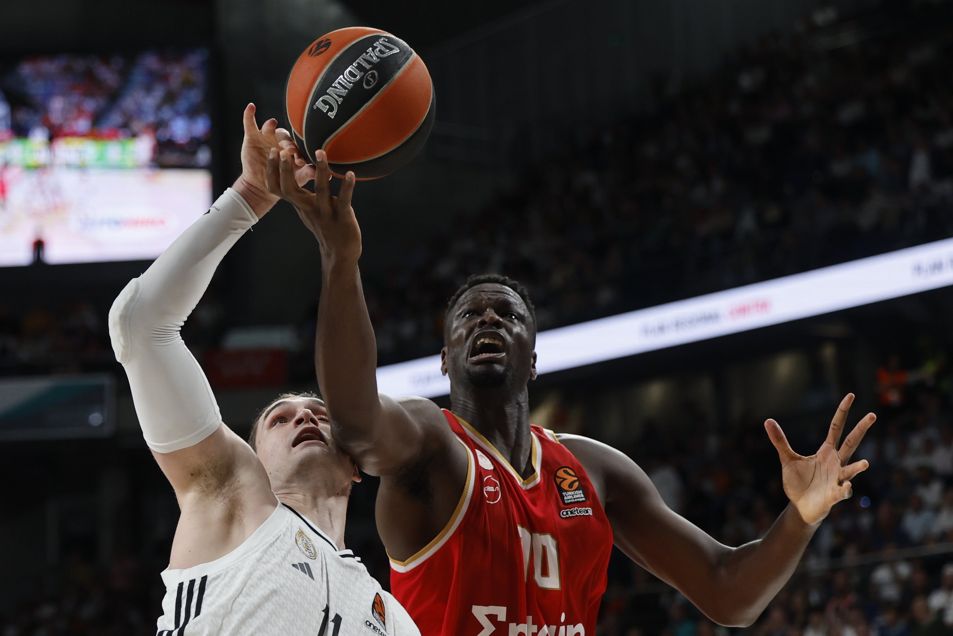 Hezonja y Fall pelean por un rebote.