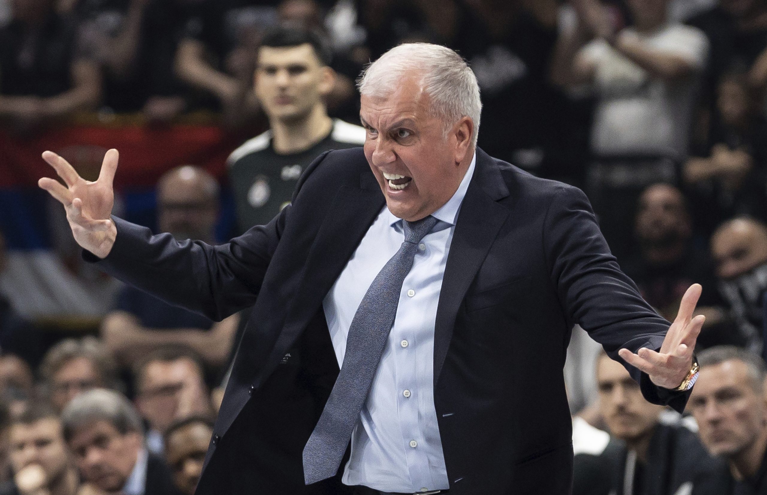 La penúltima misión de Obradovic desafía al Real Madrid: "30 años después, sigue siendo un loco del baloncesto"