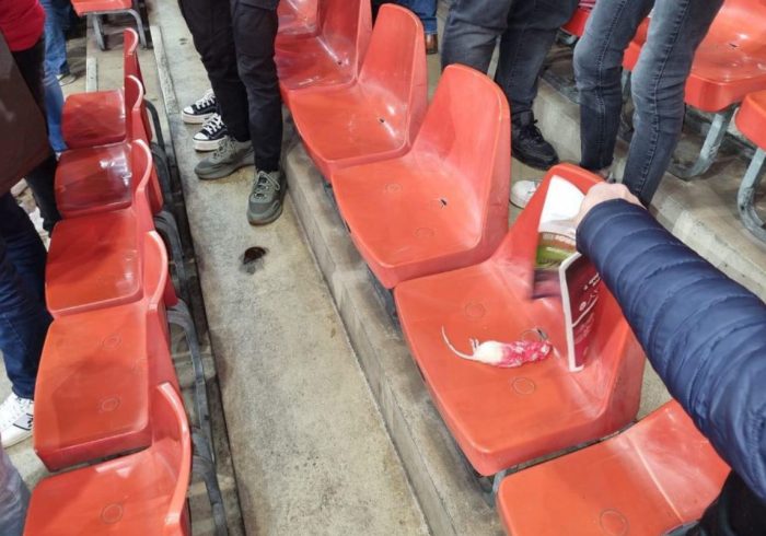 Lanzan ratas muertas a la afición rival durante un partido en Bélgica
