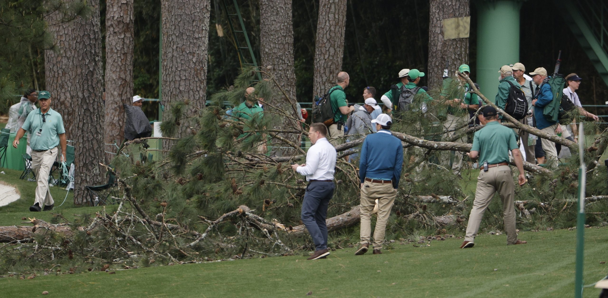 Un árbol siembra el pánico en el Masters de Augusta afortunadamente sin consecuencias