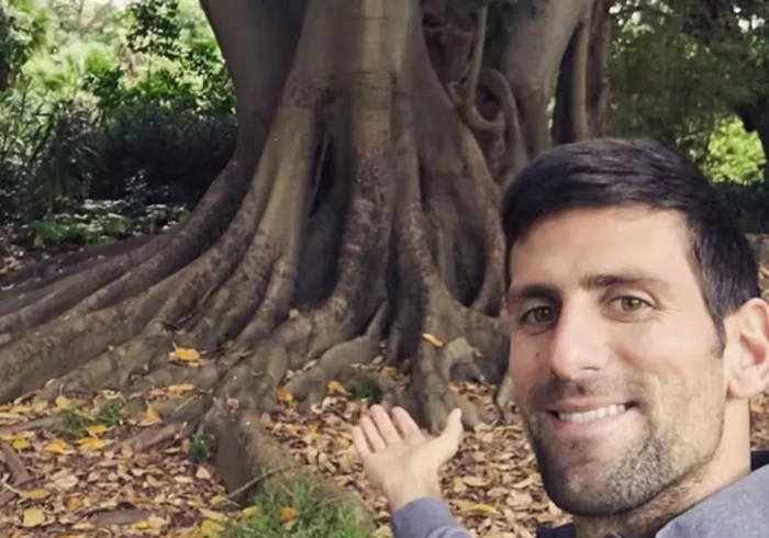 El Ã¡rbol que a Djokovic le encanta abrazar en Melbourne: "Tenemos una relaciÃ³n especial desde hace 15 aÃ±os"