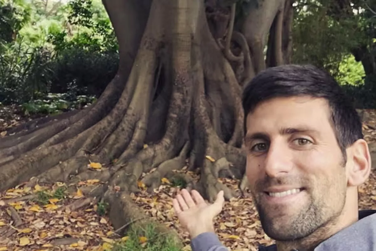 El Ã¡rbol que a Djokovic le encanta abrazar en Melbourne: "Tenemos una relaciÃ³n especial desde hace 15 aÃ±os"