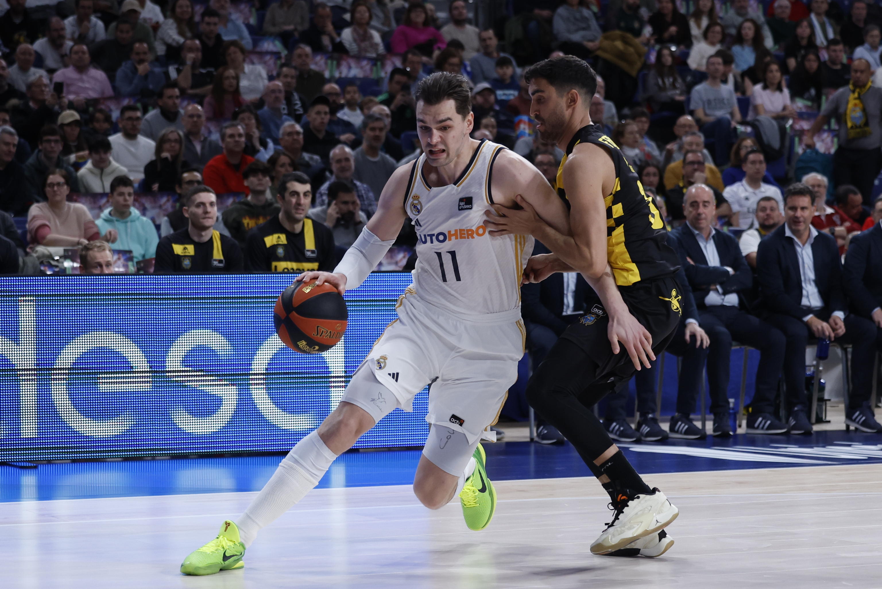 Hezonja, el pasado domingo contra el Tenerife.