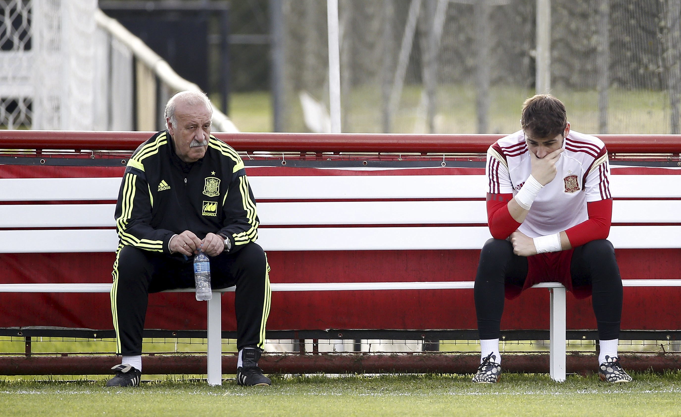 Vicente del Bosque y Casillas, en Brasil 2014.